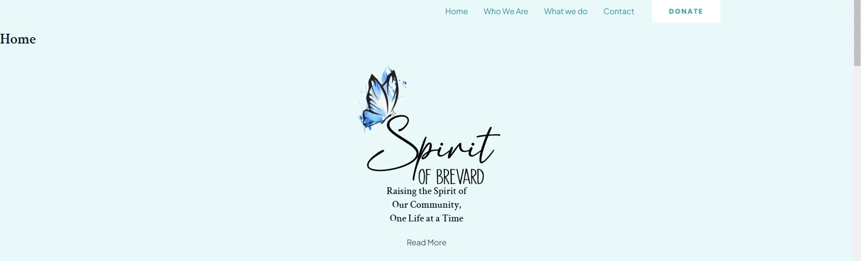 Website design for a Florida-based non-profit with event functionality and donation capabilities
